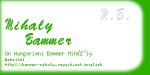 mihaly bammer business card